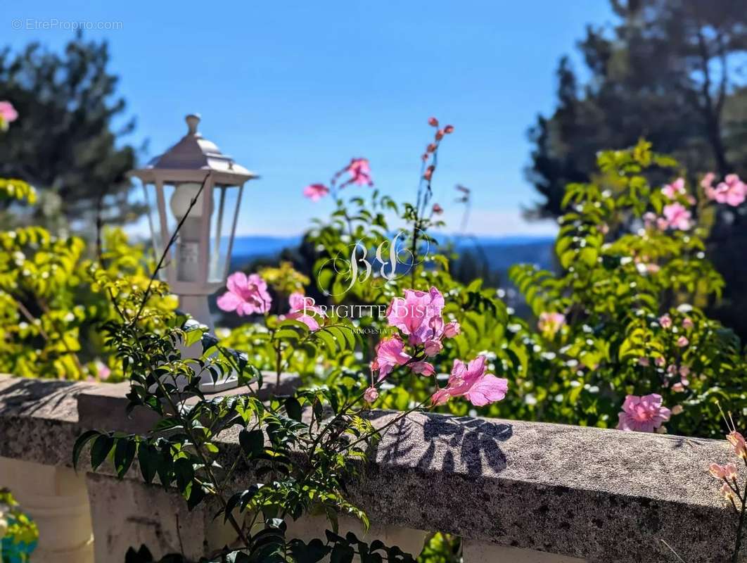 Maison à DRAGUIGNAN