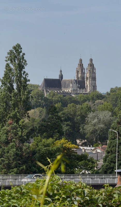 Exclusivité  à tours nord  maison familiale avec vue sur la cathédrale - photo 11