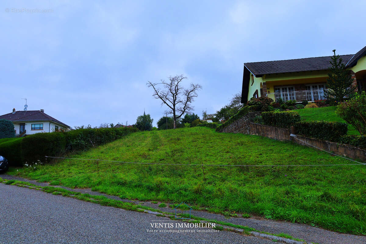 Terrain à DANNELBOURG