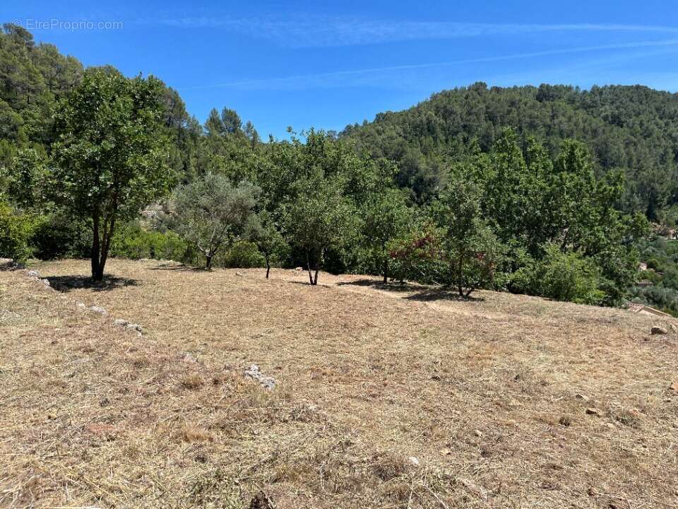 Terrain à BELGENTIER