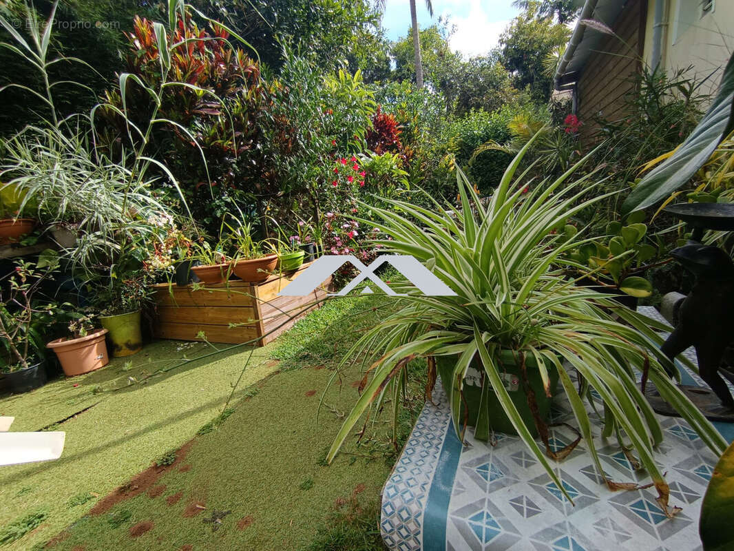 Maison à PETITE-ILE