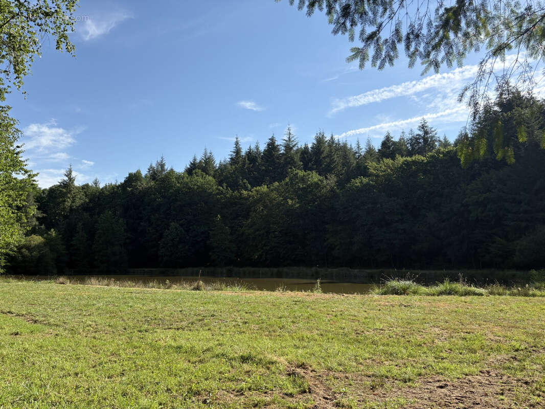 Bussière Galant un étang de loisir avec 1.4 ha de terrain boisé - photo 10