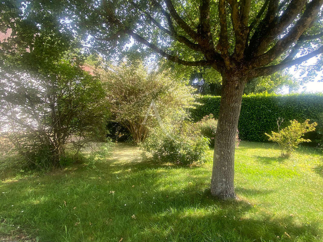Maison à DONNERY