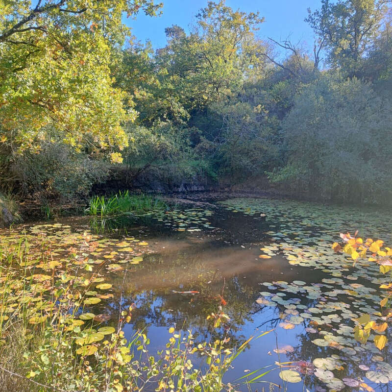 Maison à MOZE-SUR-LOUET