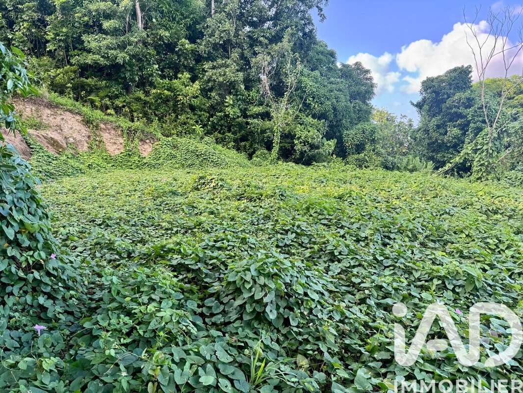 Photo 3 - Terrain à LES ABYMES