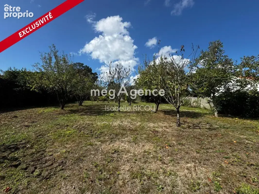 Dolus d'oleron (17550), terrain a batir de 721m² - photo 2
