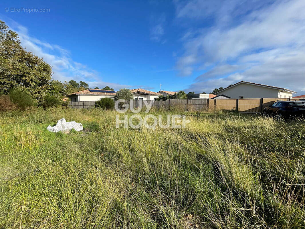 Terrain à PARENTIS-EN-BORN