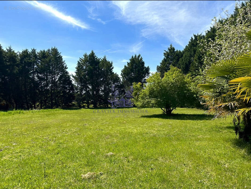 Maison à SAINT-VINCENT-DE-TYROSSE