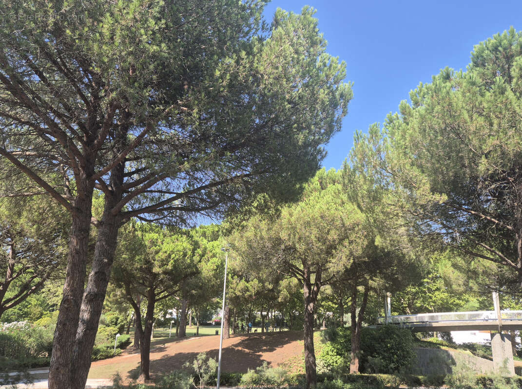 Appartement à LA GRANDE-MOTTE