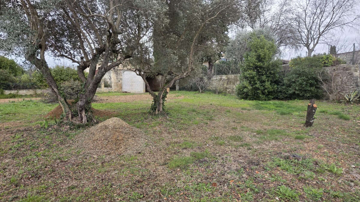 Terrain à SATURARGUES