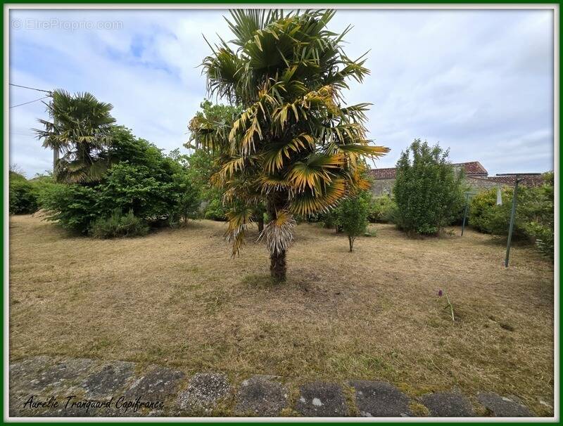 Maison à SAINT-JEAN-D'ANGELY