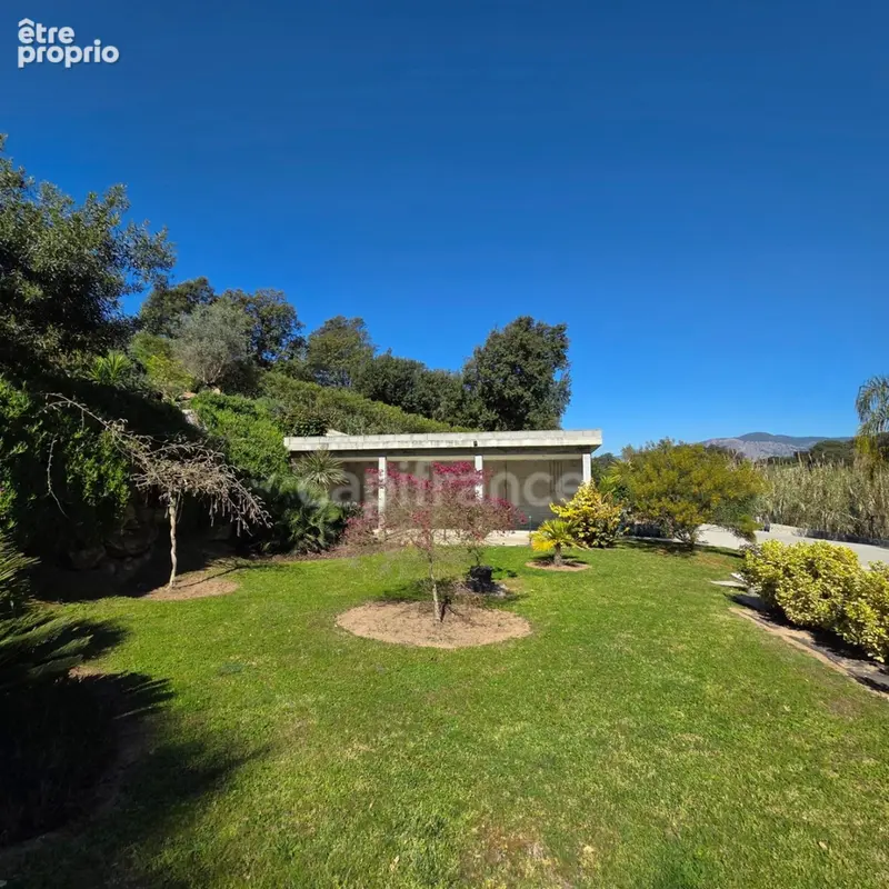 BASTELICACCIA (Corse du sud) proche AJACCIO: Ensemble immobilier de 4 lots avec piscine et jardin paysager - photo 3
