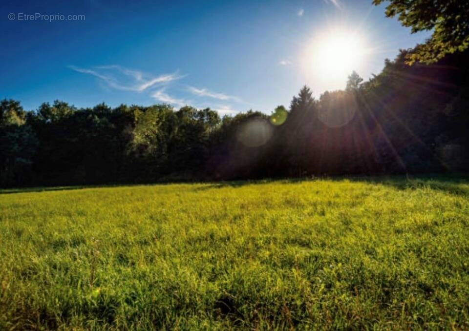 Terrain à WAMBRECHIES