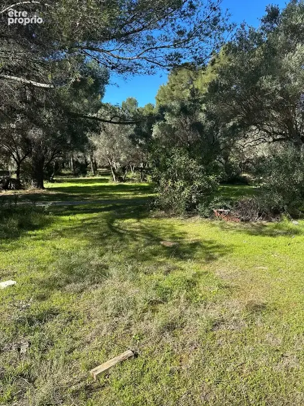 Terrain 2 265 m² à vendre à La Cadiere-D'azur (83740) - photo 3