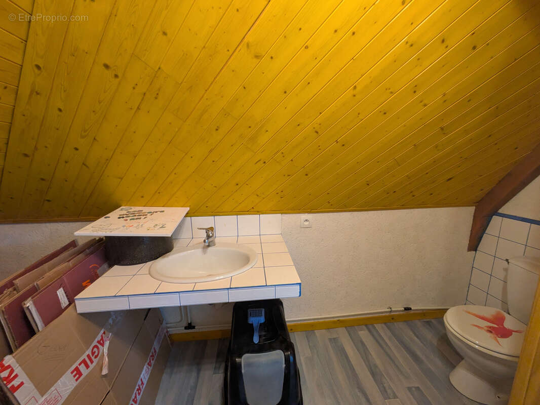 Ensemble immobilier avec deux logements et local   Bas Pont-Scorff - photo 37