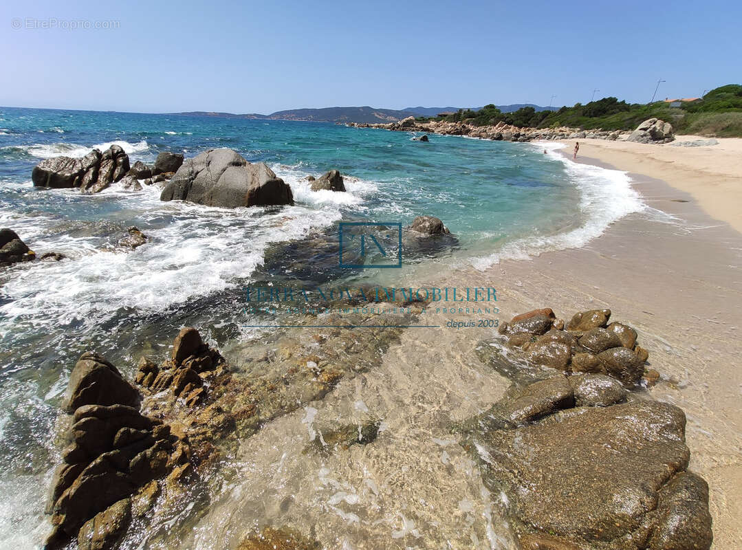 Propriété d'exception à Olmeto Plage - photo 6