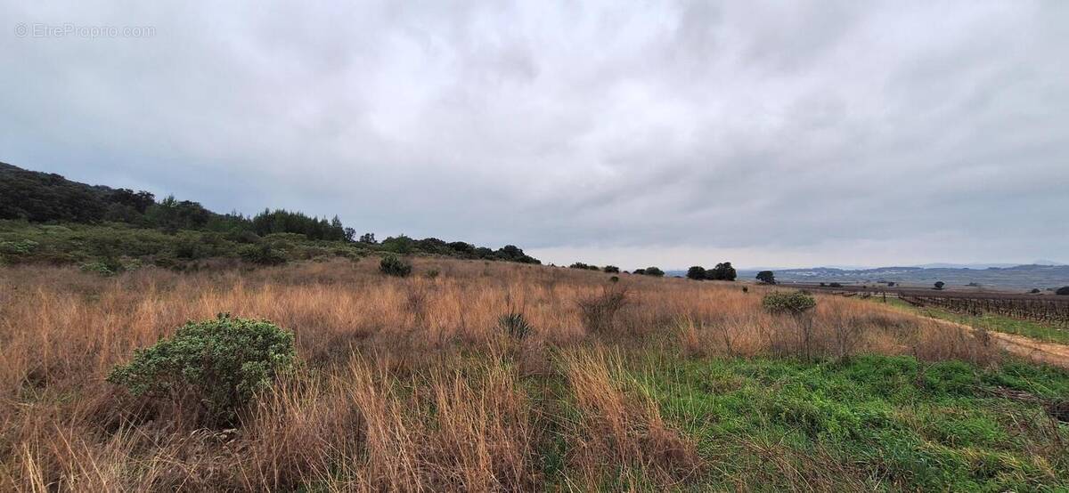 Terrain à VENDEMIAN