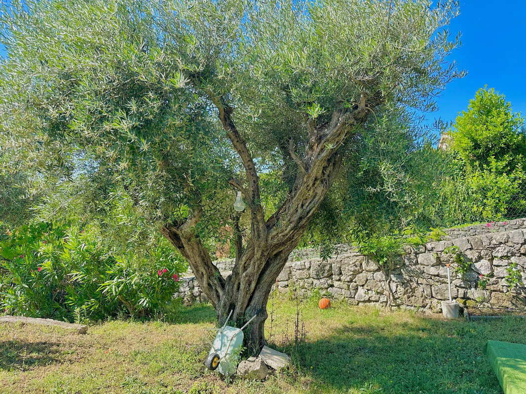 Maison à TOURRETTES-SUR-LOUP