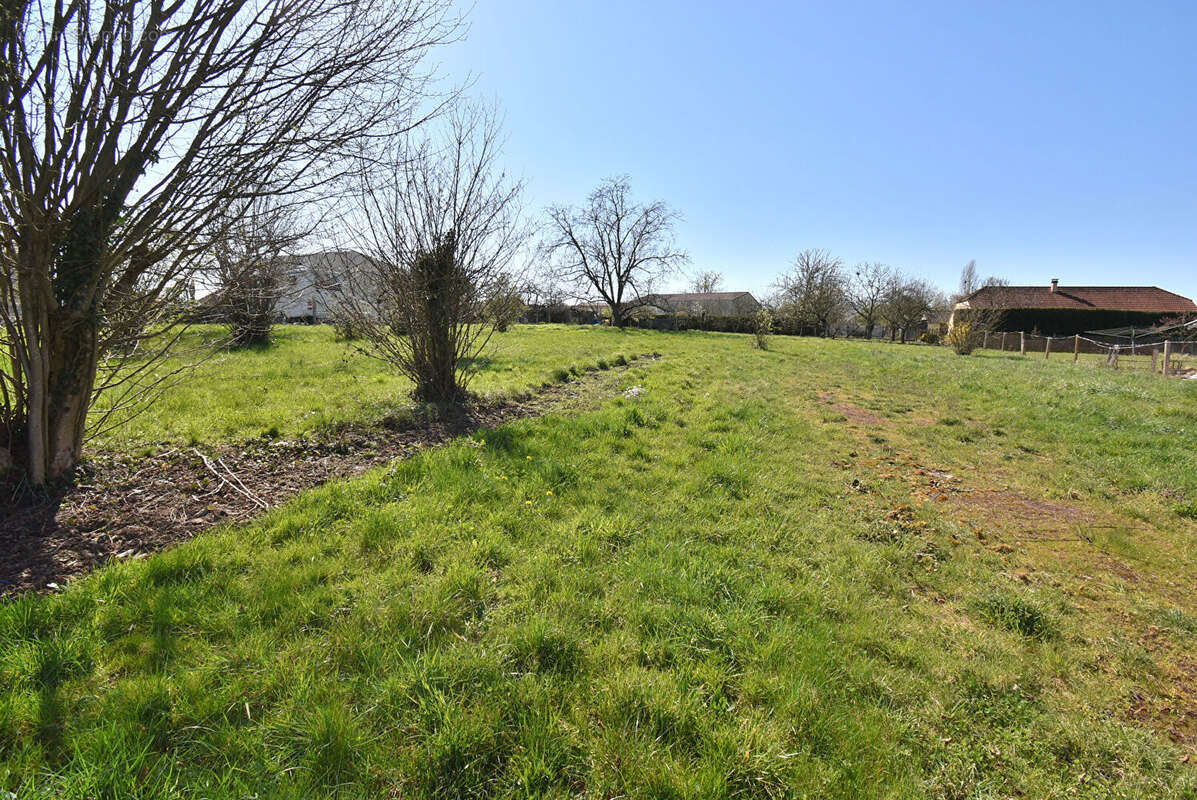 Terrain à RADONVILLIERS