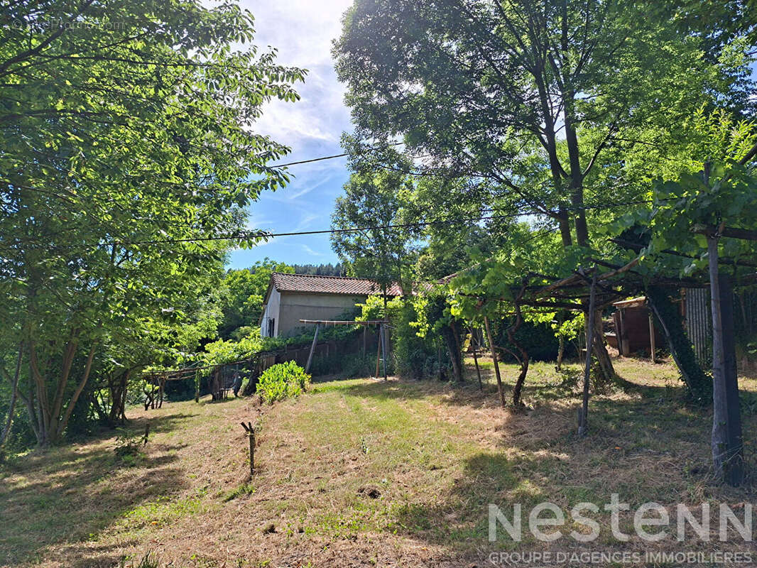 Maison en pierre avec 4 ha de terrain ? Vue dégagée, calme ? Le Collet-de-Dèze (Cévennes) - photo 11