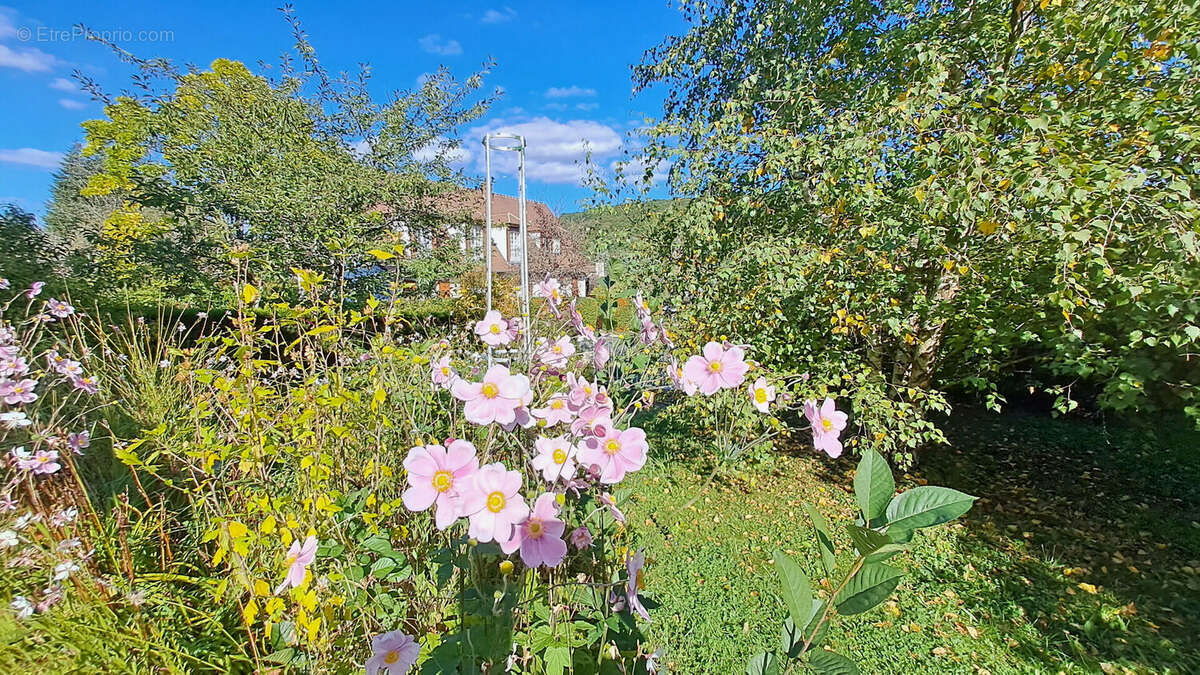 Maison à SAINT-REMY-LES-CHEVREUSE