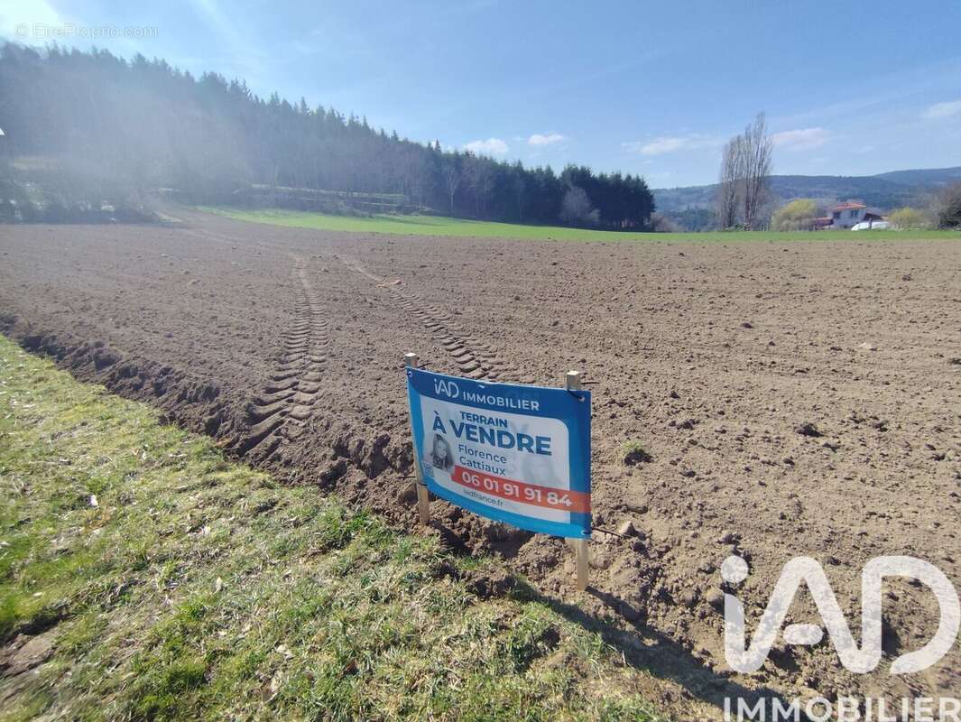 Terrain 3155 m² à Saint-Jean-Soleymieux  - photo 2