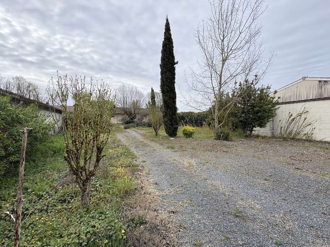Terrain à CASTELNAU-DE-MEDOC