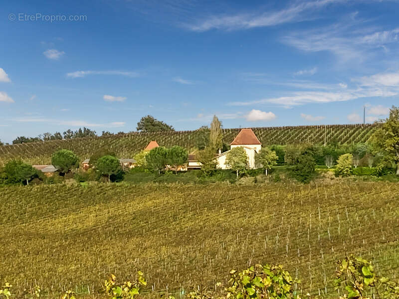 Dpt Gers (32), à vendre Proche de RISCLE château T6 de 327 m² habitables + 580 m² de dépendances attenantes sur 8157 m² de terra - photo 11
