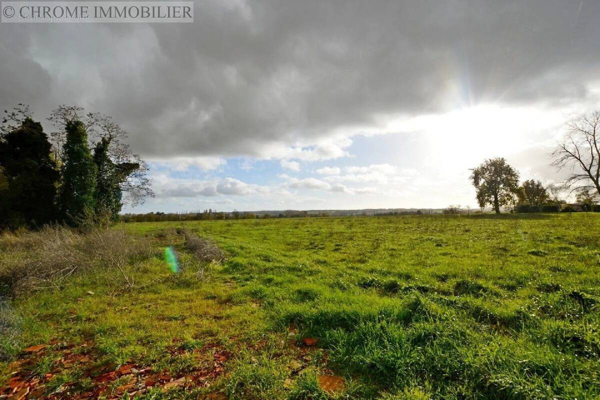 Terrain à ALLEMANS-DU-DROPT