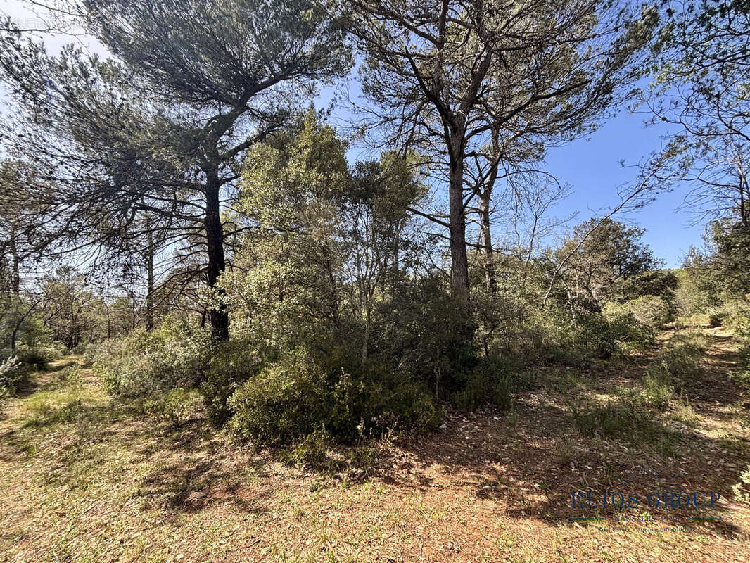 Terrain à NANS-LES-PINS