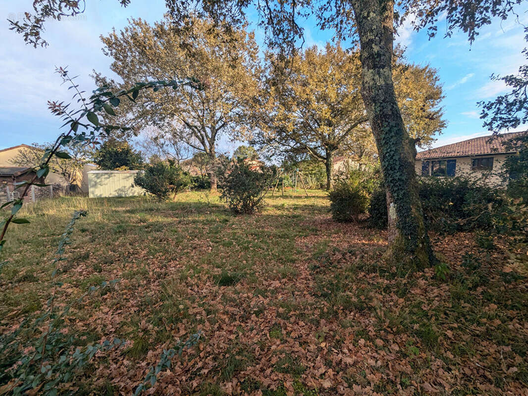 Photo 7 - Maison à ESCOURCE