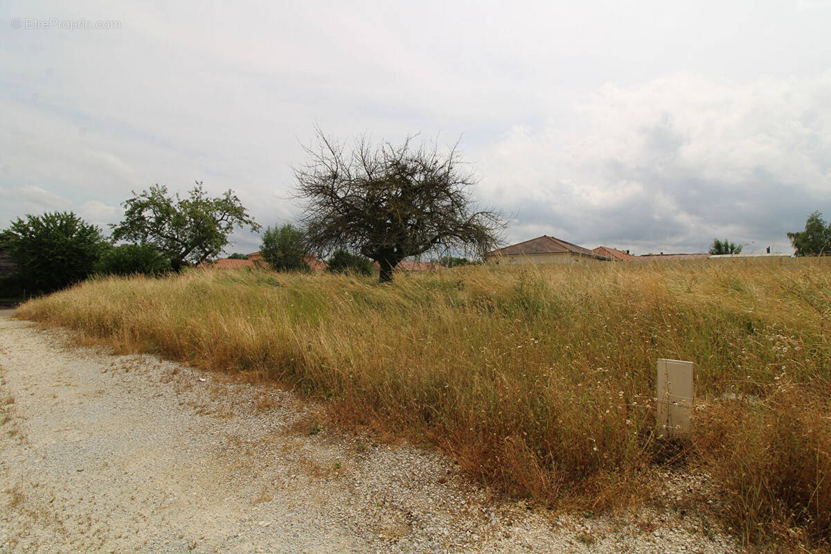 Terrain à PUELLEMONTIER