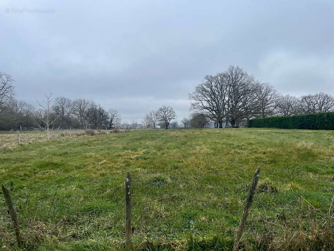 Terrain + etang plaisance - photo 3