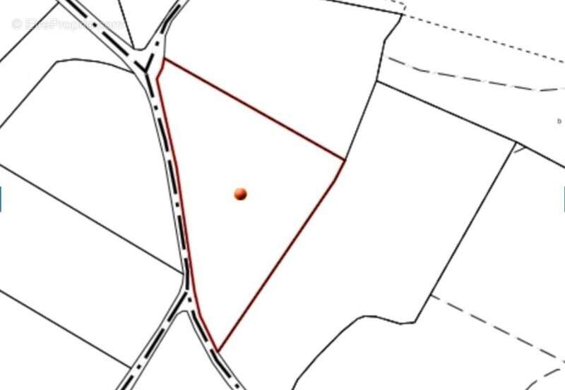 A VENDRE - Terrain Agricole, 4764m² - CORNEILHAN (34) - photo 4