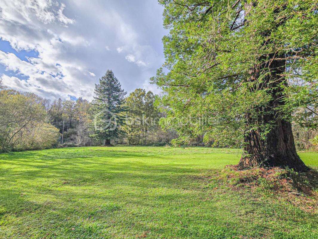 Appartement à ASCAIN