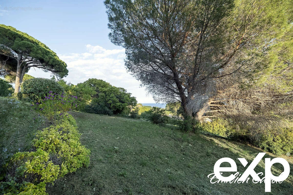 Terrain à SAINTE-MAXIME