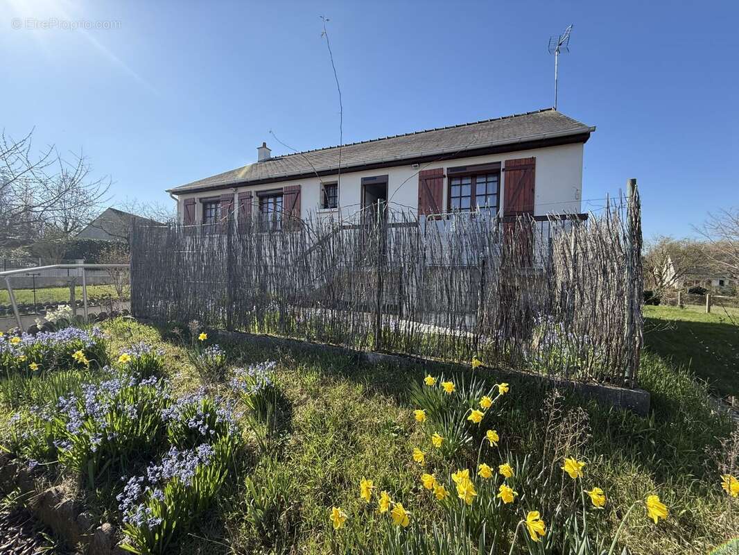 Maison à JOUE-LES-TOURS
