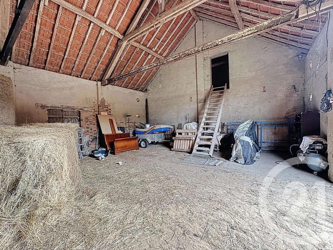 Maison à MENESTREAU-EN-VILLETTE