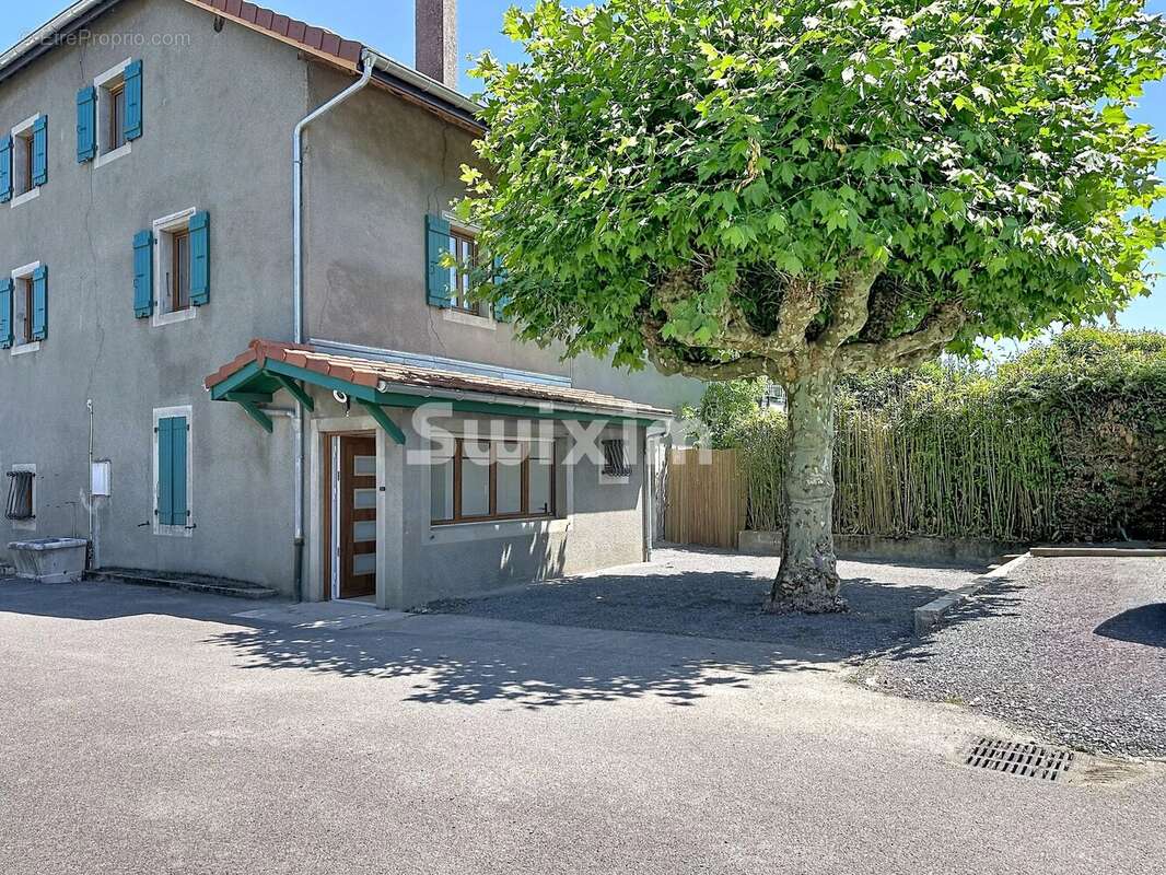 Maison à MASSONGY