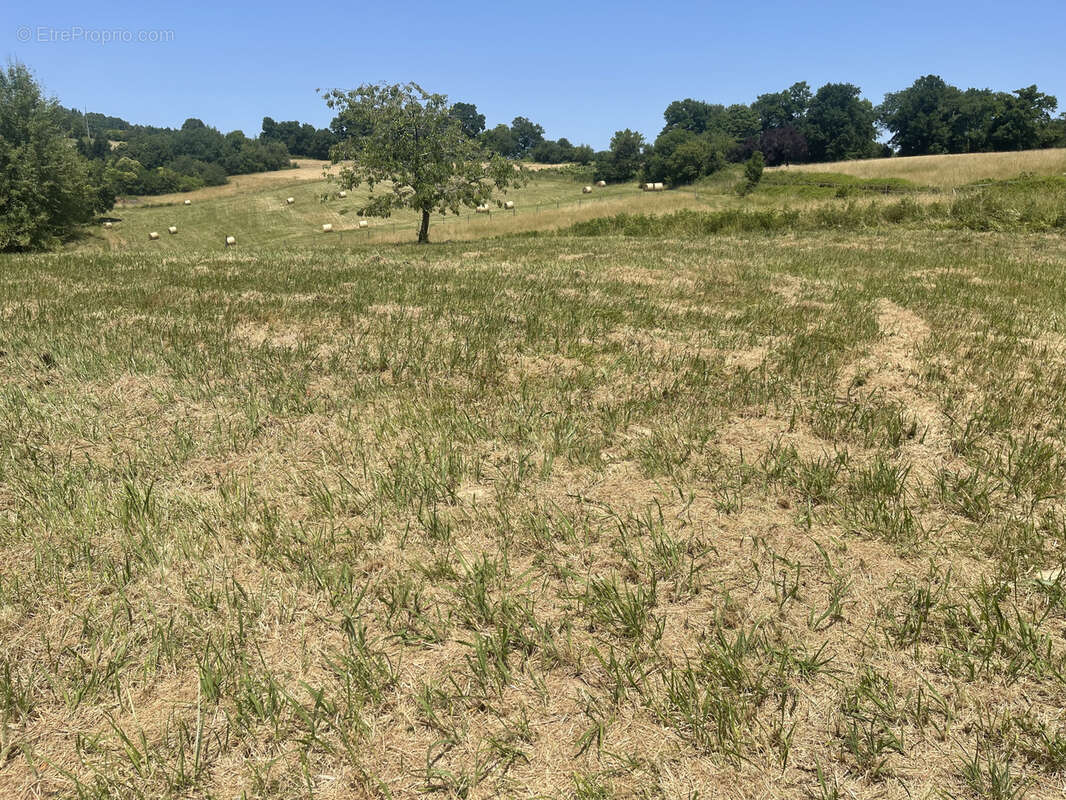 Terrain à SALIES-DE-BEARN