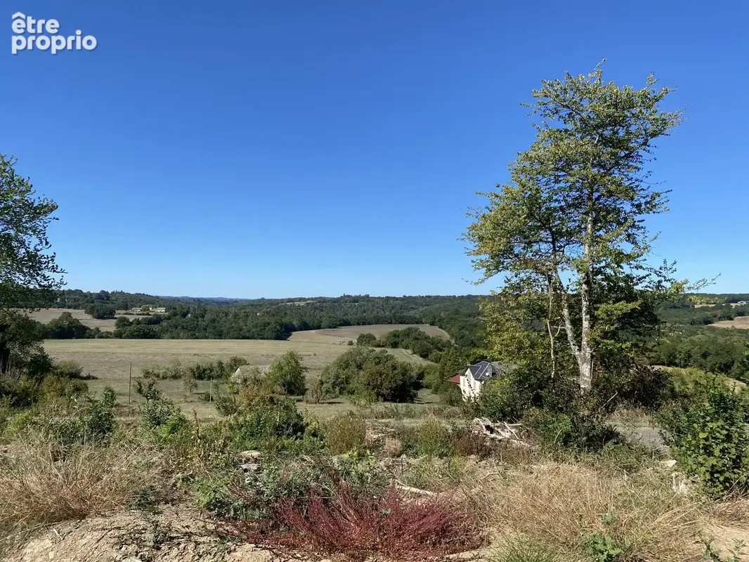 Terrain 13 287 m² à vendre à Neuvic-Entier (87130) - photo 2