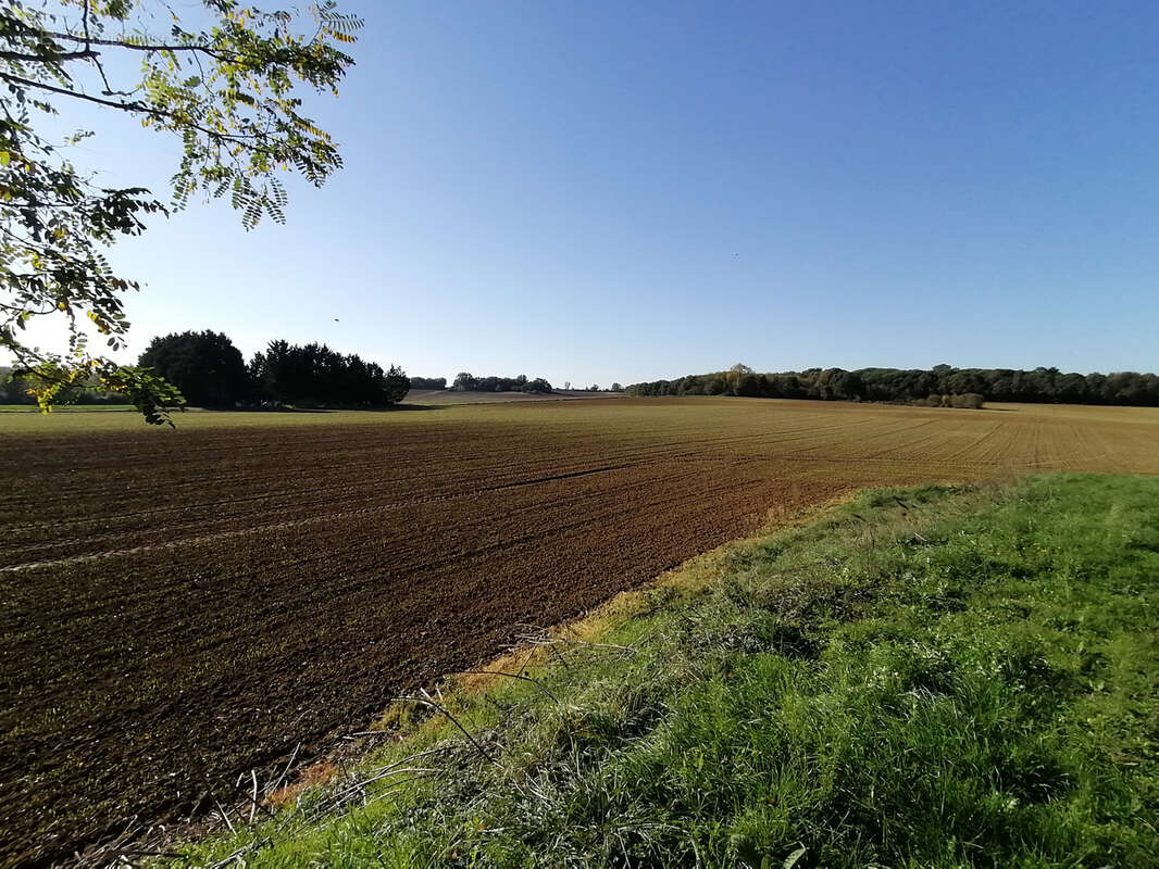Commerce à TOULOUSE