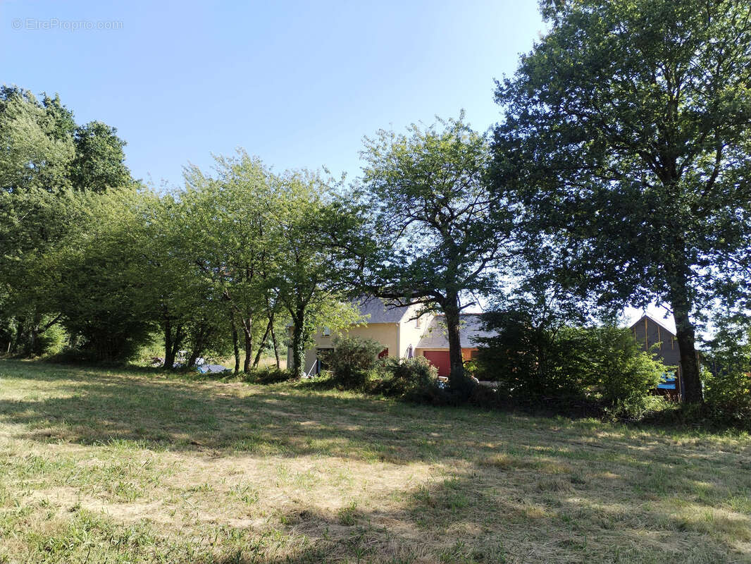 Terrain à LIVRE-SUR-CHANGEON