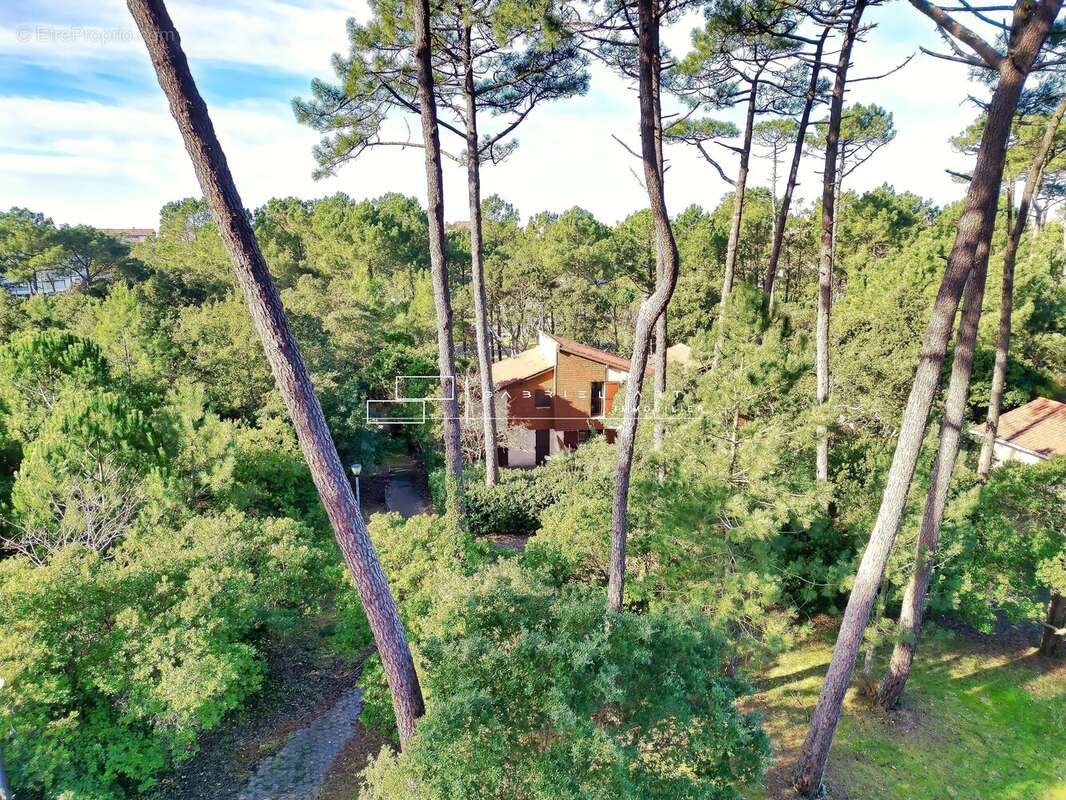 Appartement à SEIGNOSSE