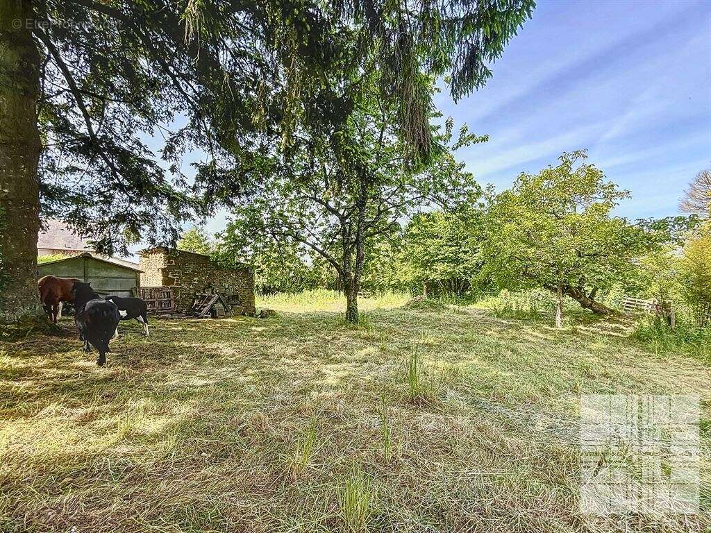 Maison à SAINT-DENIS-DE-GASTINES