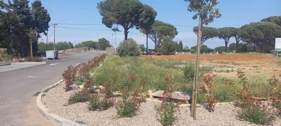Terrain à SALLELES-D'AUDE