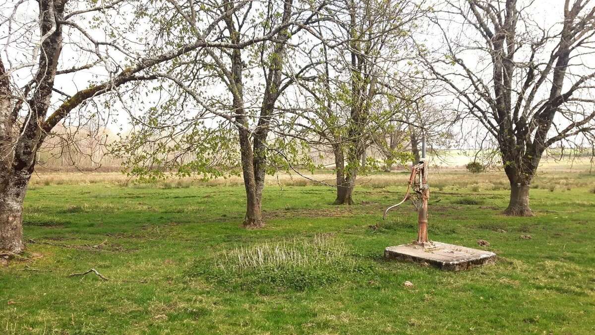 Maison et granges, et maison à rénover, avec environ  3,8 hectares de terrain - photo 13