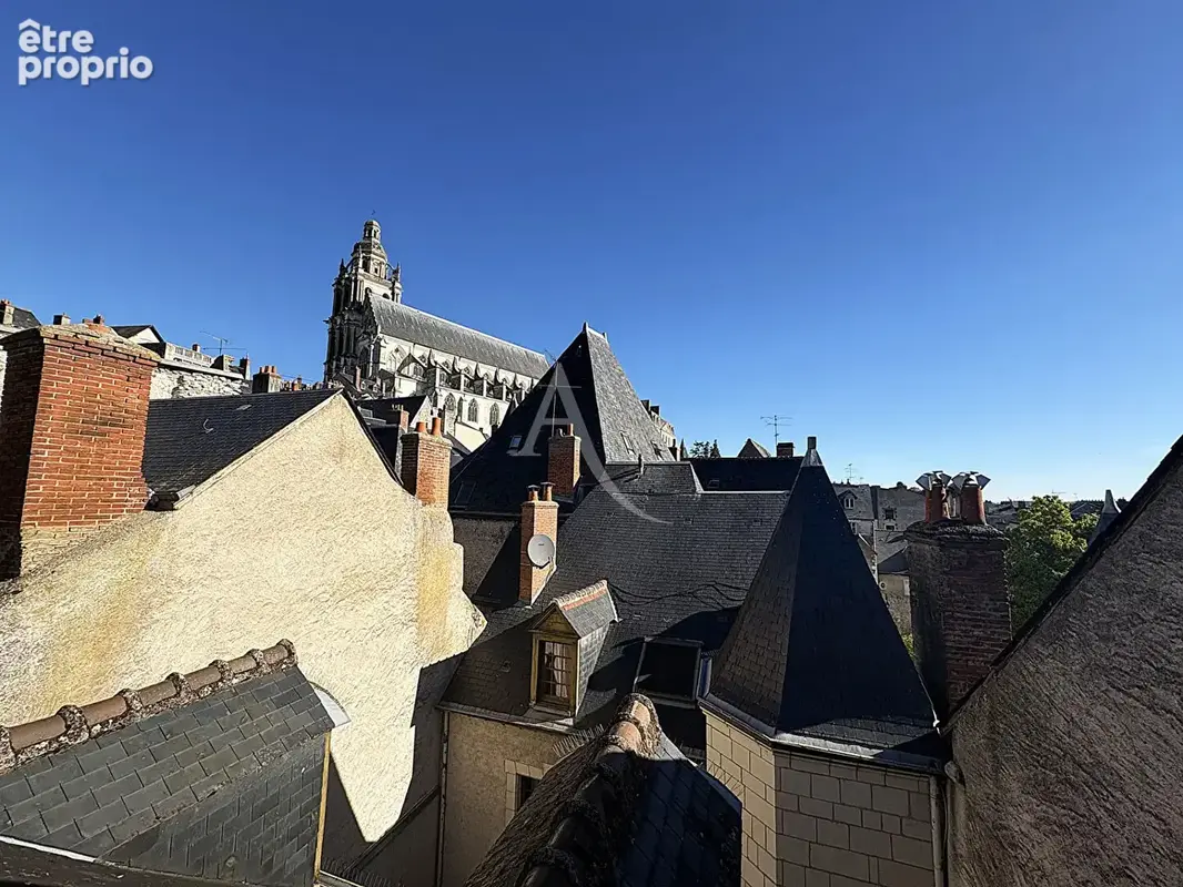 Blois centre ville - photo 10