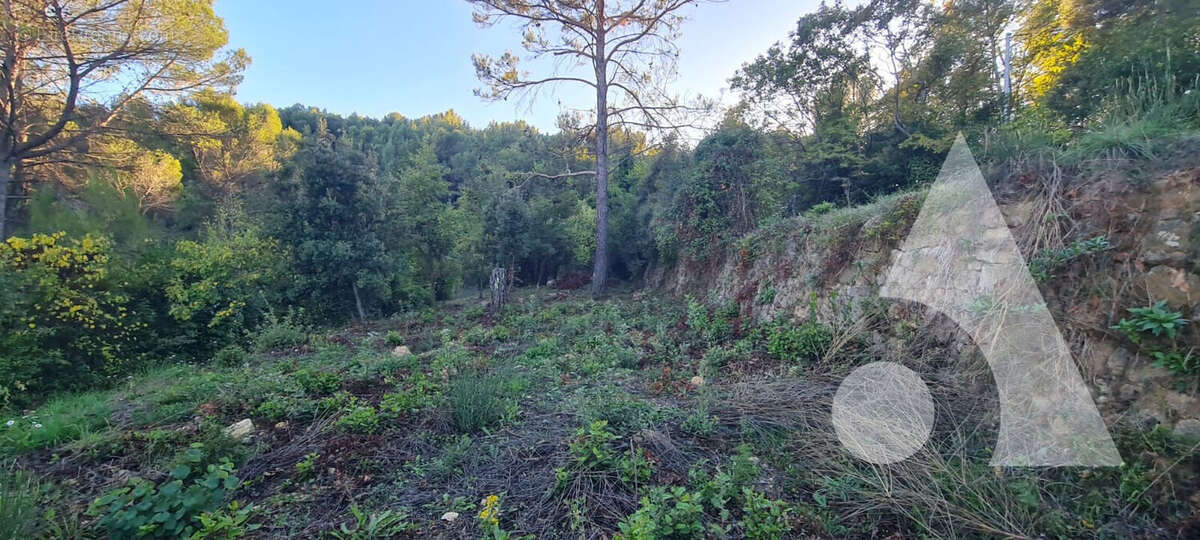 Terrain à DRAGUIGNAN