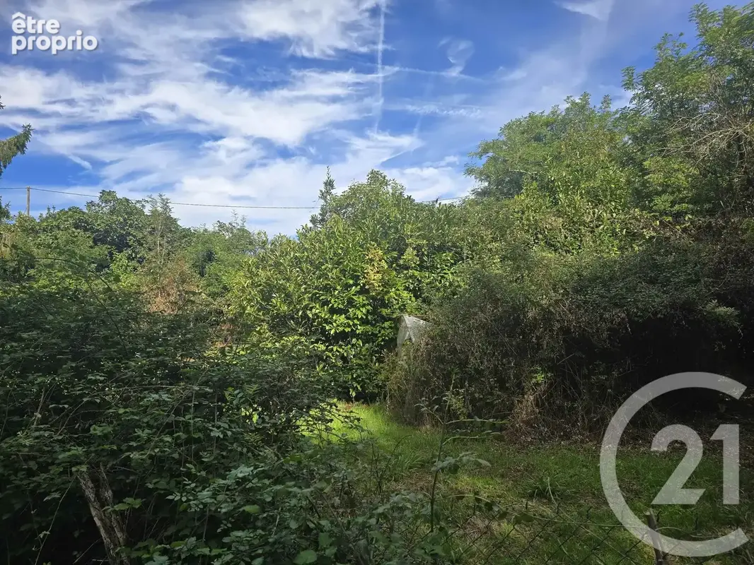 Terrain 520 m² à vendre à Carbonne (31390) - photo 14